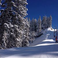 skiez_coeur_chartreuse