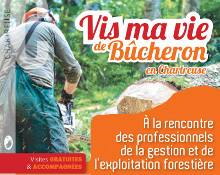 vis_ma_vie_bucheron_logo