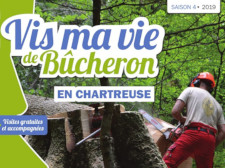 1906_vismavie_bucheron_logo