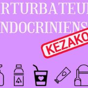 Conférence sur les perturbateurs endocriniens