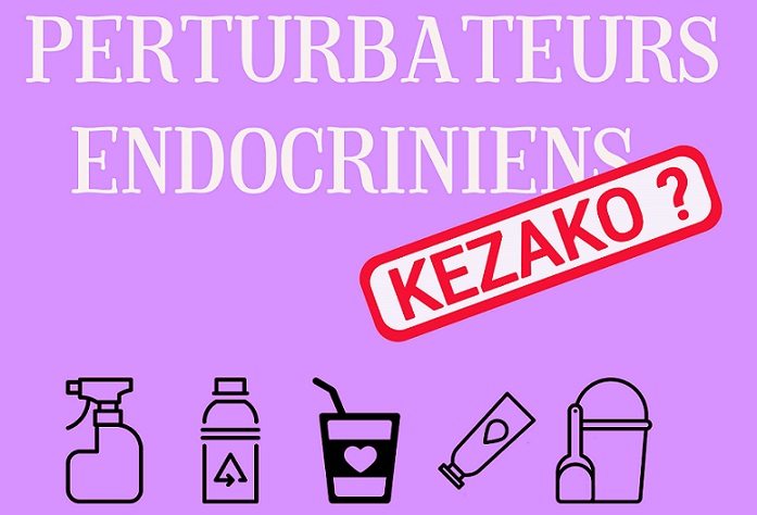 Conférence sur les perturbateurs endocriniens