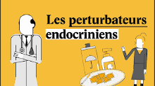 perturbateurs_endocriniens