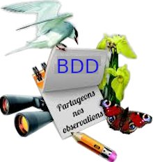 bdd_naturaliste_logo