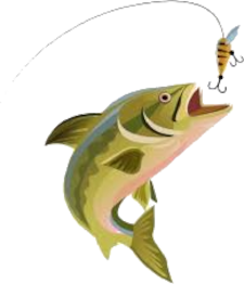 peche_truites